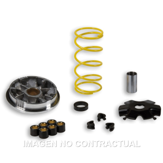 Variador Multivar Suzuki 50...