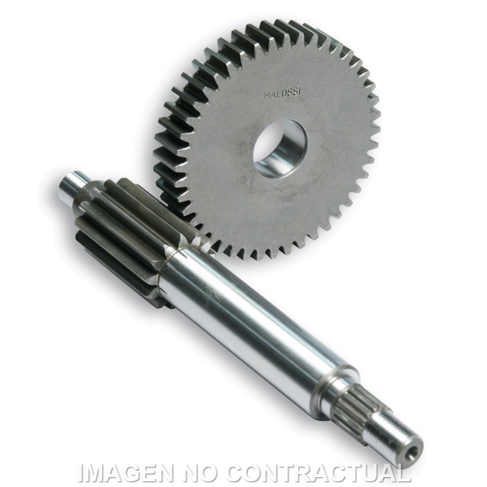 Desarrollo Primario HTQ 13/44 Yamaha...