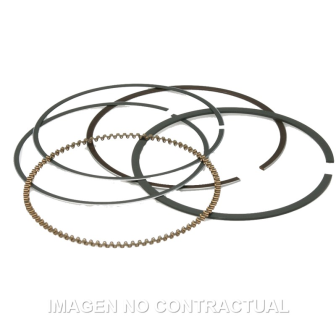 Segmentos D. 74X1 mm...
