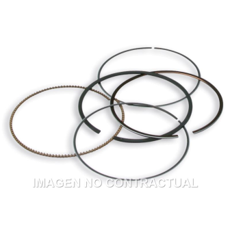 Segmentos D. 75,5 mm