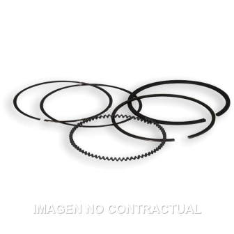 Segmentos Diámetro 61 mm...