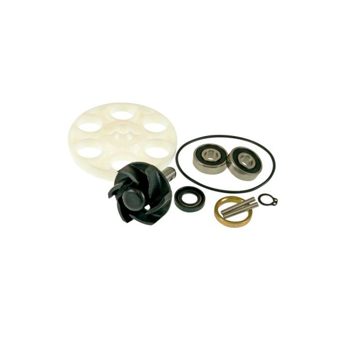 Kit Reparación Bomba Agua Top...